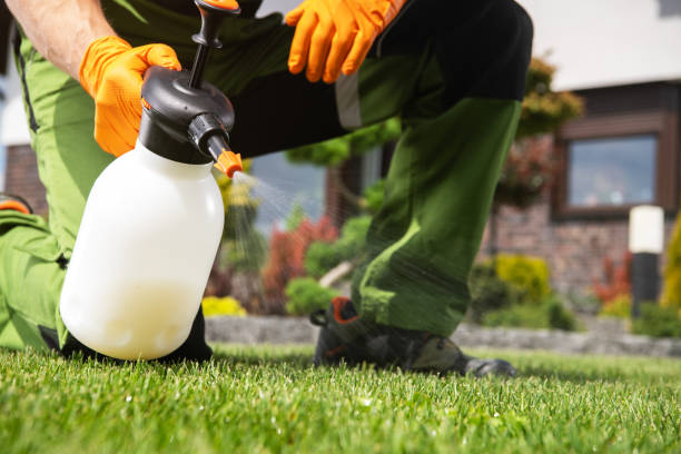 Professional Pest Control in South Windham, CT