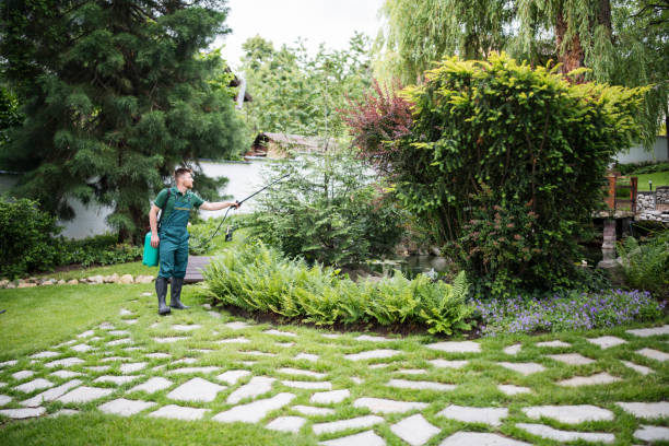 Best Residential Pest Control  in South Windham, CT