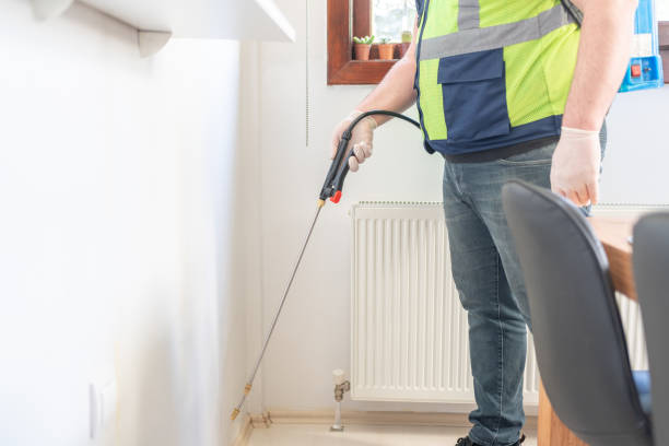 Best Pest Prevention Services  in South Windham, CT