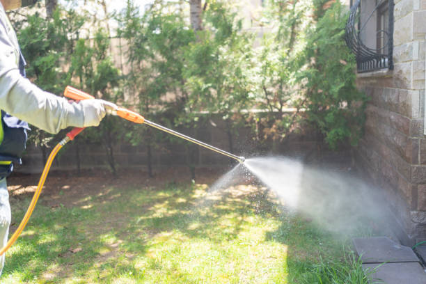 Best Pest Inspection Near Me  in South Windham, CT